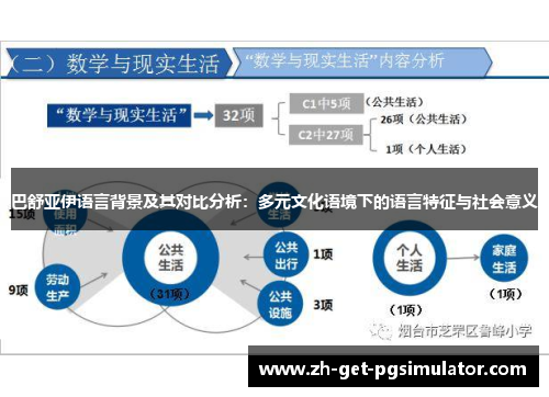 巴舒亚伊语言背景及其对比分析：多元文化语境下的语言特征与社会意义