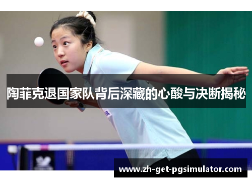 陶菲克退国家队背后深藏的心酸与决断揭秘