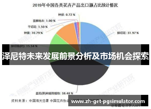 泽尼特未来发展前景分析及市场机会探索